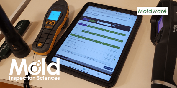 Buying a Home with Potential Mold and Moisture Problems