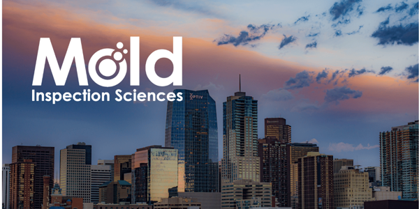 Mold Inspection Sciences Colorado company gets great review on ServiceMagic