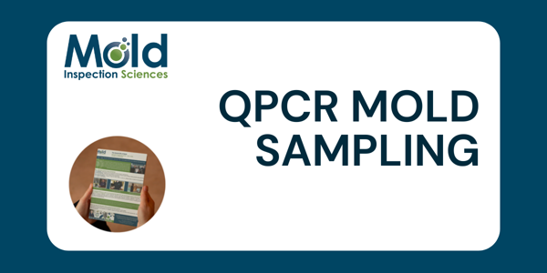 A flyer titled "QPCR Mold Sampling from Mold Inspection Sciences" showcases an image of someone holding an informational brochure packed with text and graphics. This informative piece on mold testing stands out against a dark teal background, emphasizing the importance of thorough assessment.