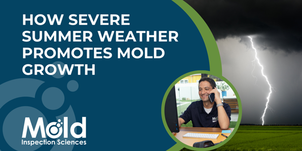How Severe Summer Weather Promotes Mold Growth