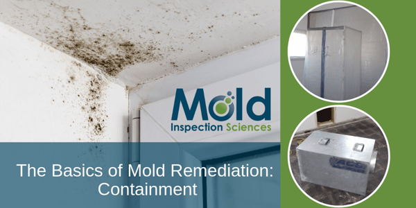 Image showing mold growth in a corner of a ceiling. The text reads, Mold Inspection Sciences: The Basics of Mold Remediation: Containment and Sampling. Two smaller images show a plastic-covered doorway and containment equipment, underscoring the thorough investigation process involved.