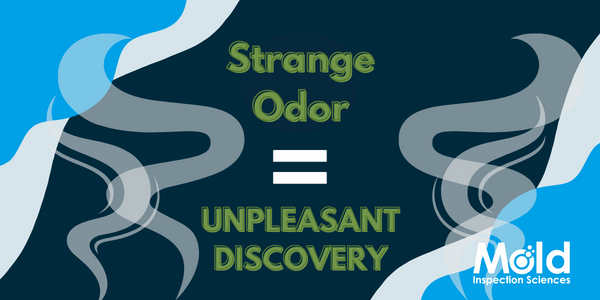 Strange Odor Leads to Unpleasant Discovery