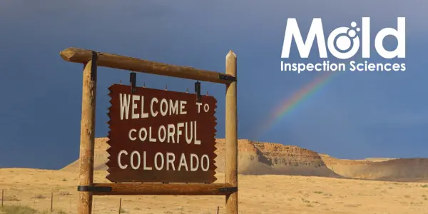Mold Inspection and Testing Testimonials for our Colorado Operations