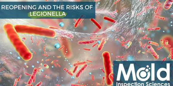 Close-up of bacteria with text: Reopening and the Risks of Legionella. Inspection Sciences logo. The image features a microscopic view of red, rod-shaped bacteria, highlighting the importance of thorough inspection in preventing outbreaks.