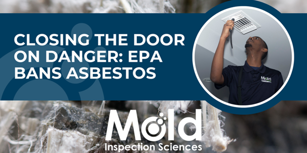 Asbestos Ban: Everything You Need to Know