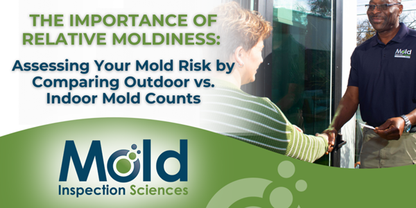 What is Relative Moldiness?