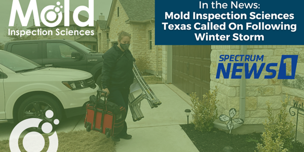 Austin Residents Turn to Mold Inspection Sciences Texas