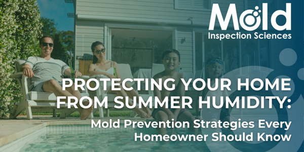 Protecting Your Home from Summer Humidity