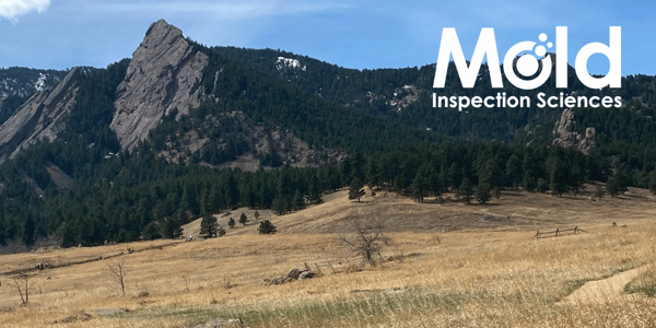 September, 2013 – Colorado Flood Series Part II