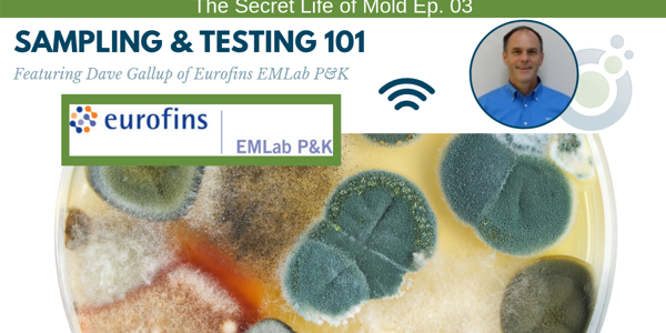 Podcast episode cover titled The Secret Life of Mold Ep. 03: Sampling & Testing 101. Featuring an image of Dave Gallup and Eurofins EMLab P&K logos, with a background of colorful mold spores, this episode dives into the crucial role of mold inspection techniques in thorough investigations.
