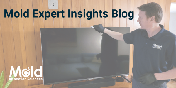 I Think I Have a Mold Problem -- Where Do I Start?  What Do I Do?