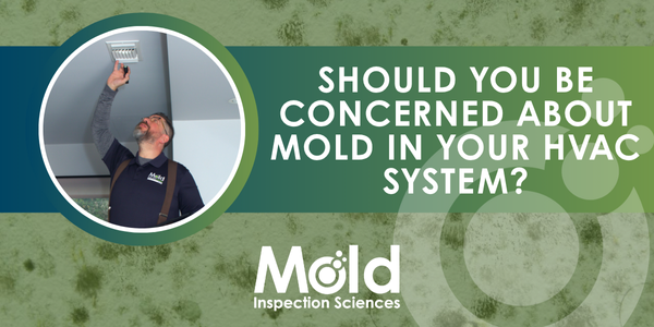 A man conducts an inspection of an HVAC vent on a ceiling. Text reads: Should you be concerned about mold in your HVAC system? Mold Inspection Sciences. Green mold-like background.