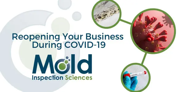 Reduce Environmental Safety Risks - Reopening a Business After Shutdown