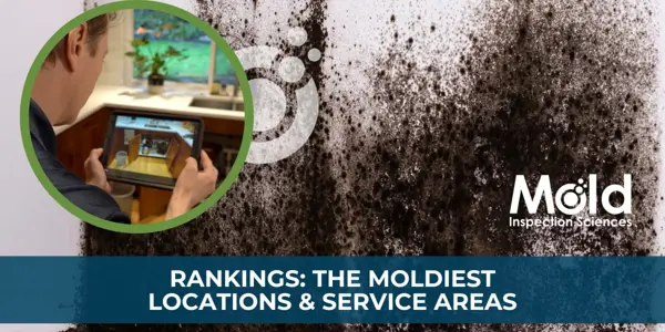Mold Inspection Sciences Ranks the Moldiest Locations