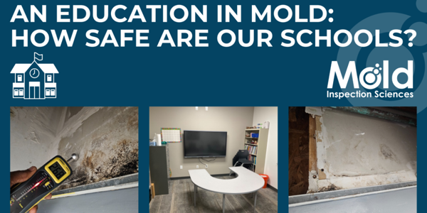 An Education in Mold How Safe Are Our Schools