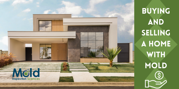 Buying and Selling a Home with Mold