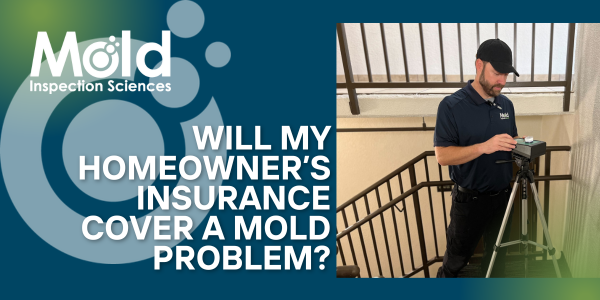 Will My Homeowner's Insurance Cover a Mold Problem?