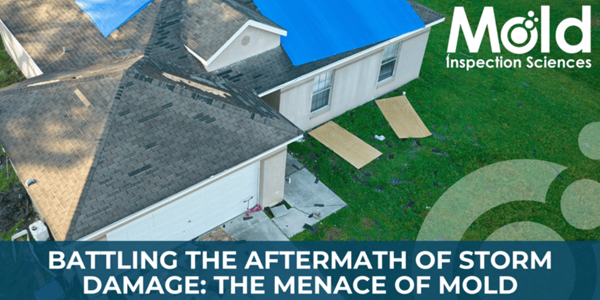 Battling the Aftermath of Storm Damage The Menace of Mold