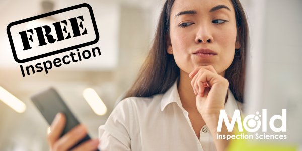What is a "free" mold inspection?